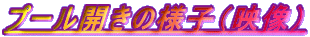 �v�[���J���̗l�q�i�f���j 