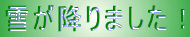 �Ⴊ�~��܂����I