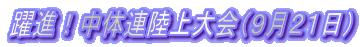 ���i�I���̘A������i�X���Q�P���j